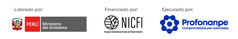 Logos institucionales